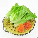意大利生菜