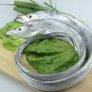 野生新鲜带鱼