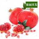 红石榴